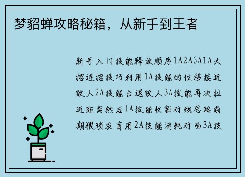梦貂蝉攻略秘籍，从新手到王者