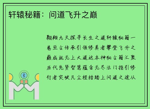 轩辕秘籍：问道飞升之巅